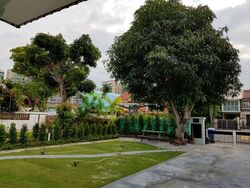 Bedok Road (D16), Semi-Detached #312924361